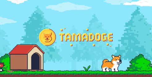 Buy Tamadoge