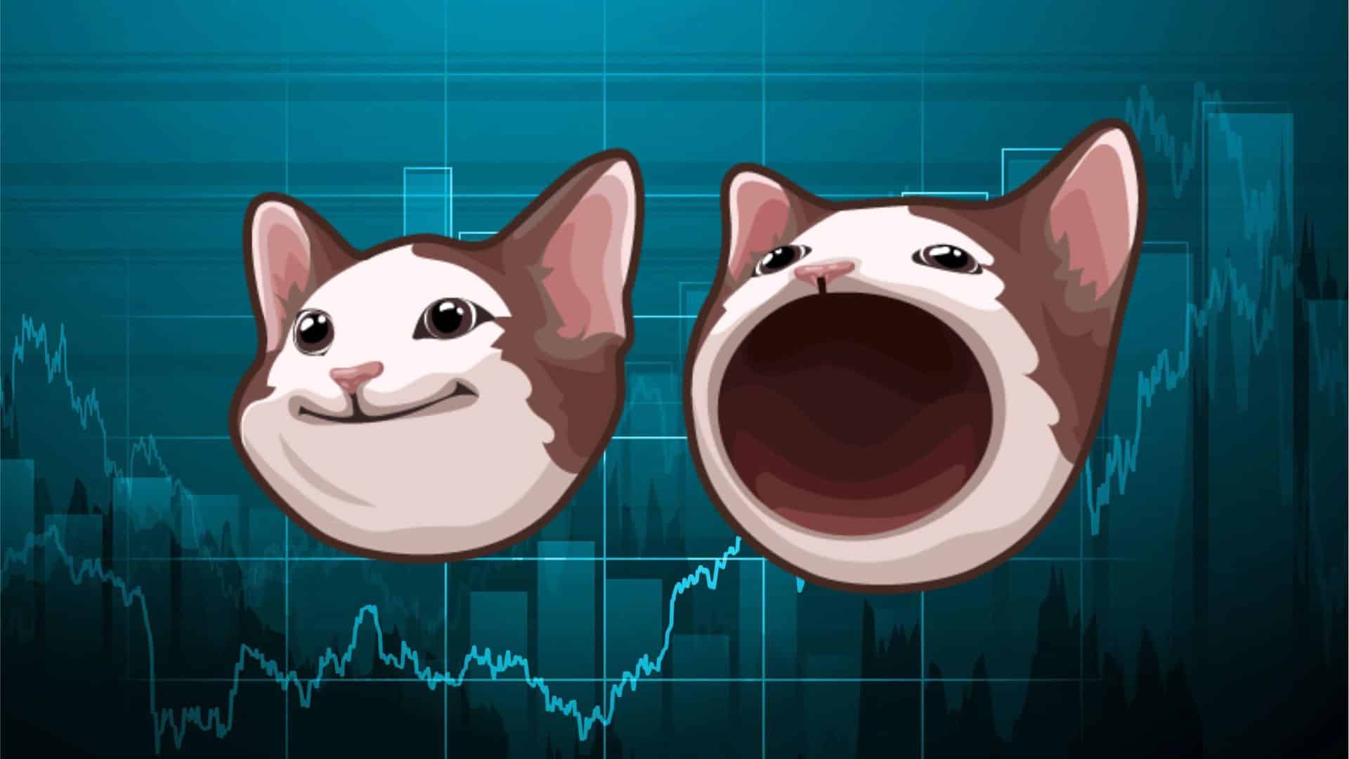 Popcat price