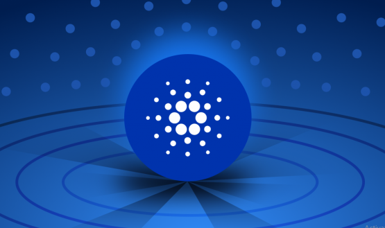 Invest in Cardano UK