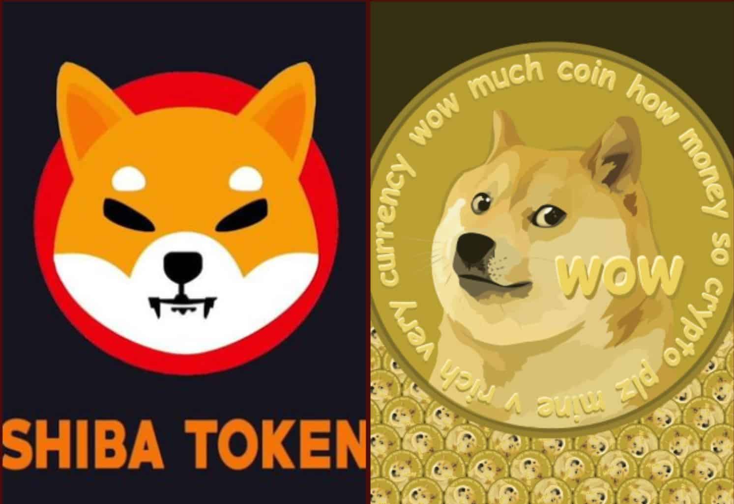 Shiba Inu vs Dogecoin