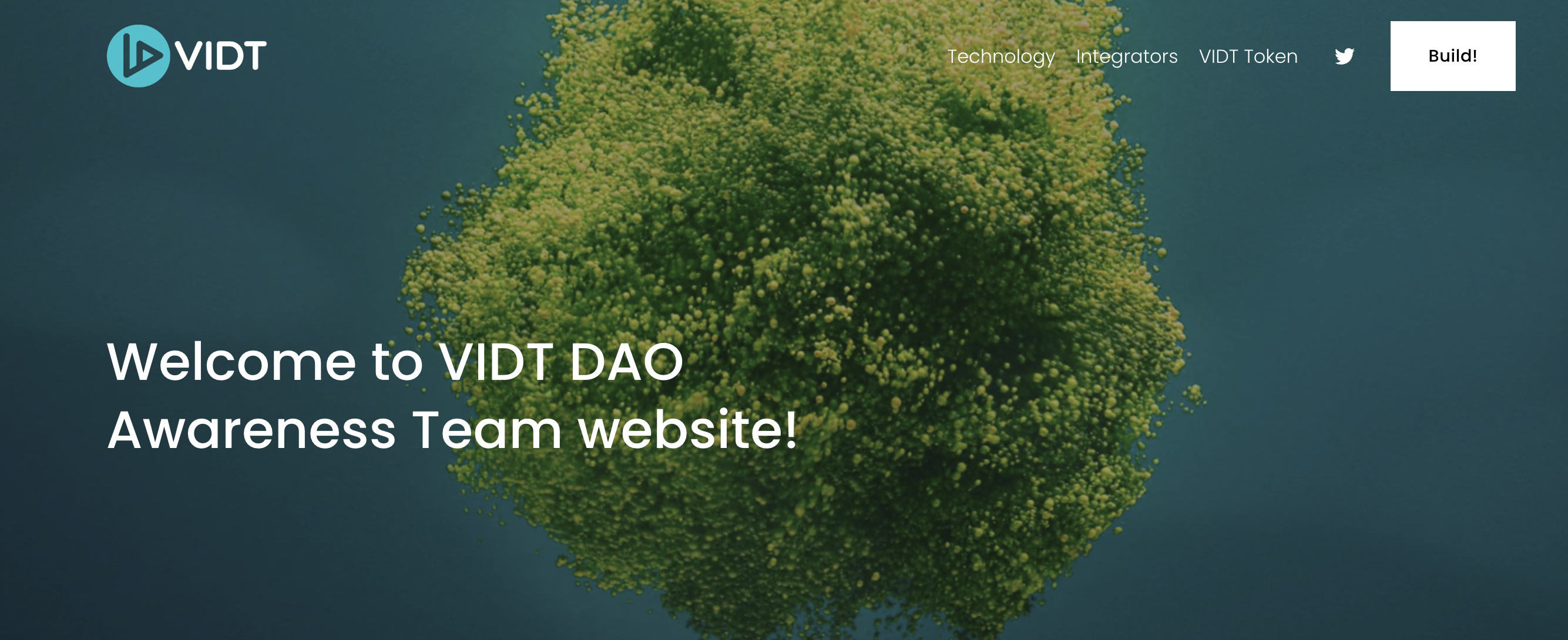 VIDT DAO AI Crypto coin